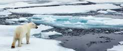 Die Eisschmelze wird weitergehen: Die Regierungschefs der EU-Staaten können sich bei ihrem Gipfel nicht auf CO2-Grenzwerte einigen, die den Klimawandel bremsen würden (Foto: thinkstock/gettyimages/pum_eva)
