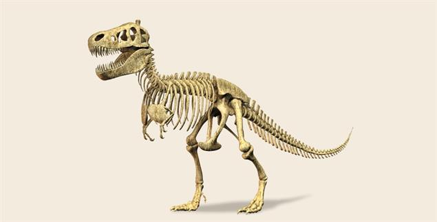 Sah zu Lebzeiten noch furchteinflößender aus: T-Rex Tristan Otto. (Illustration: Getty Images / iStockphoto / leonello)