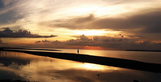 Was passiert am Ende des Lebens? (Foto: freepik/Eyeem)