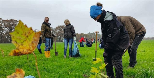 (Foto: www.gemeinsambuddeln.de)