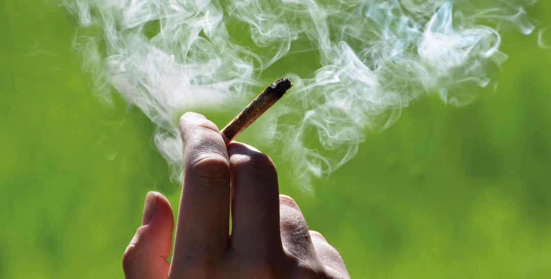 Lizenz zum Kiffen: Die Bundesregierung will nicht nur den Cannabis-Konsum, sondern auch den kommerziellen Anbau zu Genusszwecken legalisieren (Foto: iStockphoto / Tunatur)