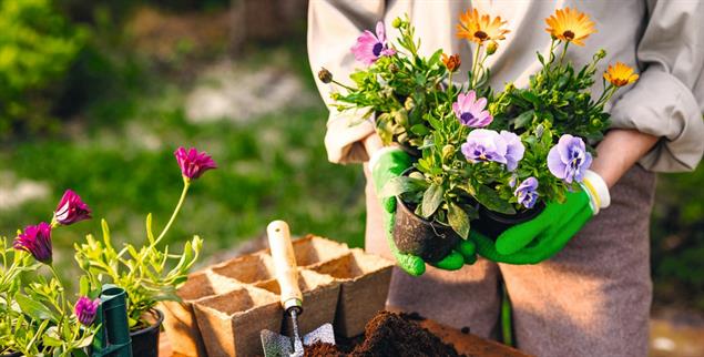 Nachhaltiges Gärtnern: Wer torffreie Erde verwendet, tut dem Planten etwas Gutes. (Foto: iStock/Sergi Kolesnikov)