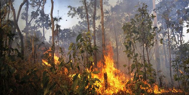 Der UN-Prozess stockt: Und auf der Welt brennt es weiter wie hier im Kakadu-Nationalpark in Australien (pa/Tack)