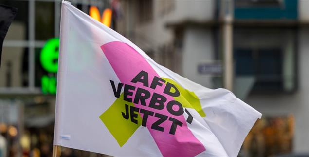 Gutachten zur AfD: Die Gesellschaft für Freiheitsrechte wirbt für eine Verbotsdebatte. (Foto: PA/Eibner-Pressefoto/Ardan Fuessman)
