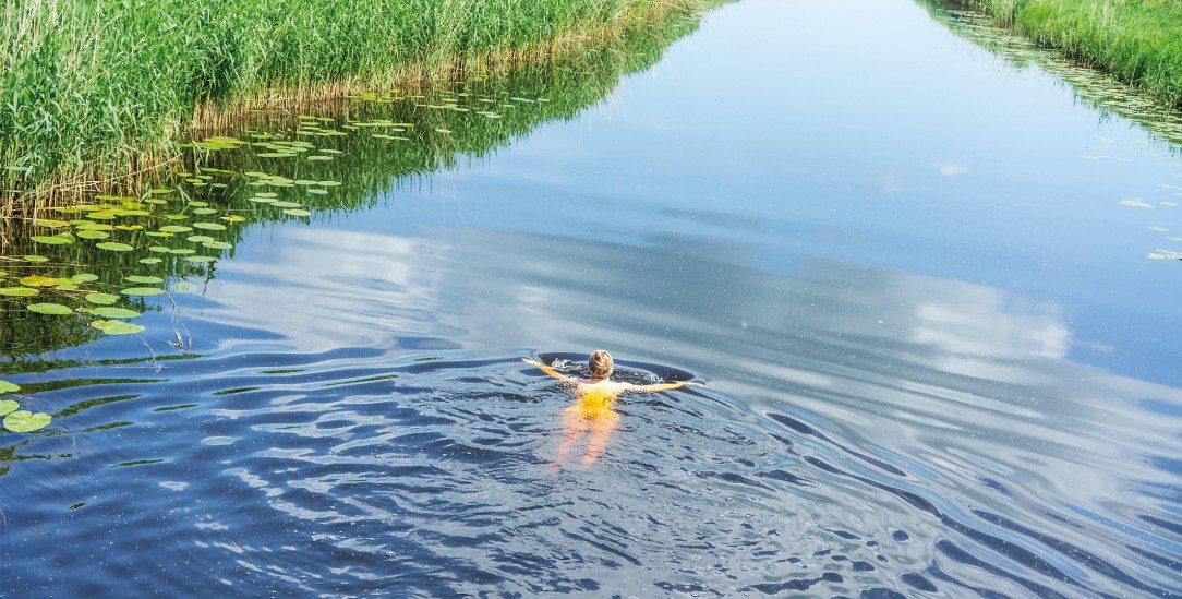 (Foto: seagullNady/Alamy Stock Photo) (Foto: seagullNady/Alamy Stock Photo)