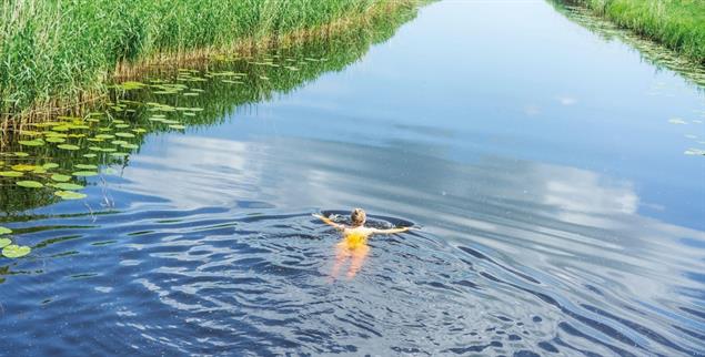 (Foto: seagullNady/Alamy Stock Photo)
