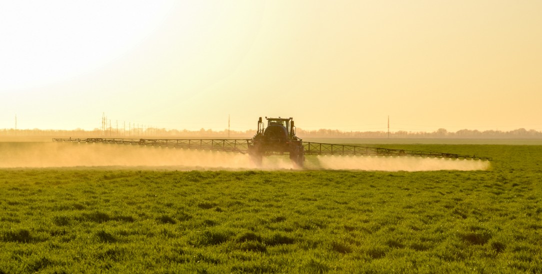 Glyphosat ist das meistgenutzte Pestizid der Welt (Foto: iStock by Getty/Leonid Eremeychuk)