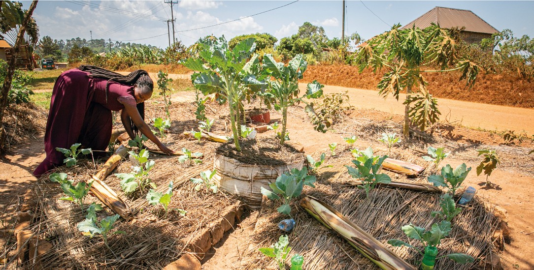 Das Wissen ist ihr größter Schatz: Janepher Namukaya besucht die mobile Landwirtschaftsschule in der Region Masaka in Uganda. Dank ihr bestellt 27-Jährige ihr Land nun planvoll und nachhaltig. So hat sie beispielsweise Stroh um die Pflanzen gelegt, damit der Boden nicht austrocknet. (Foto: Sascha Montag)
