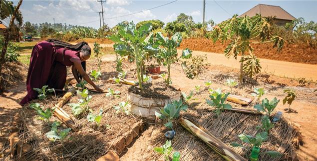 Das Wissen ist ihr größter Schatz: Janepher Namukaya besucht die mobile Landwirtschaftsschule in der Region Masaka in Uganda. Dank ihr bestellt 27-Jährige ihr Land nun planvoll und nachhaltig. So hat sie beispielsweise Stroh um die Pflanzen gelegt, damit der Boden nicht austrocknet. (Foto: Sascha Montag)