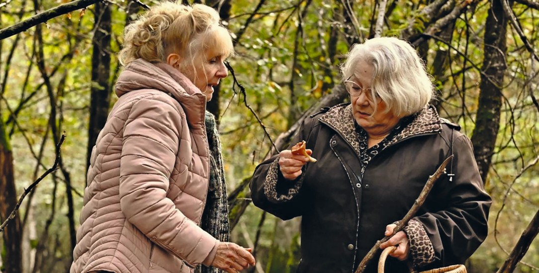 Der ist doch essbar, oder? Die beiden Freundinnen bei der Pilzsuche im Wald. Mit dem Pilzgericht beginnt das Drama im Film »Wenn der Herbst naht« von François Ozon (Foto: weltkino.de)