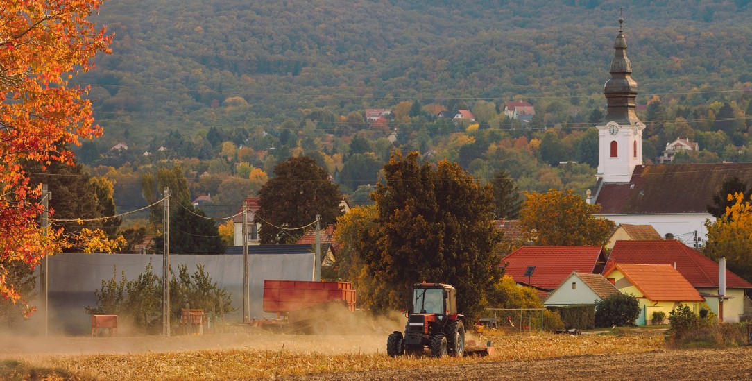 Kirche und Landwirtschaft: Einst waren sie eng verbunden, heute müssen sie ihre Positionen neu bestimmen.