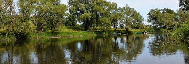 Südlich von Havelberg: Am Fluss wächst wieder Schilf. (Foto: Hans-Jürgen Röder)