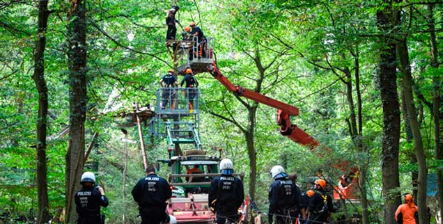 Konfrontation im Hambacher Wald: Ein Polizist holt einen Umweltaktivisten von einer Plattform auf einem Baum. RWE hat mithilfe eines großen Polizeiaufgebots in der vergangenen Woche Barrikaden im Wald weggeräumt und dabei auch bereits einen Baum gefällt (Foto: pa/Bauch)