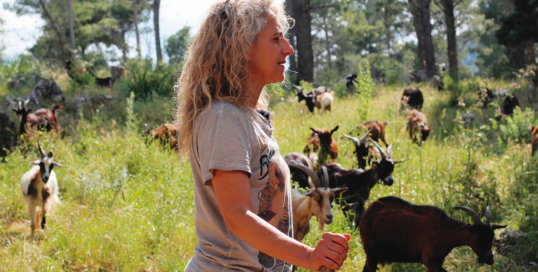 Mit Ziegen gegen die Waldbrand-Gefahr: Rossella Calascibetta setzt auf naturnahe Waldpflege und Selbstschutz. (Foto: Helen Hecker)