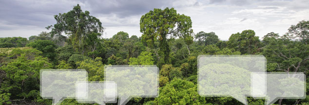 Amazonas-Regenwald von oben: Am 18. Juni 2015 stellte Papst Franziskus seine Umwelt-Enzyklika vor. Er provozierte damit starke Emotionen. Positive wie negative. (Foto: istockphoto/salparadis)