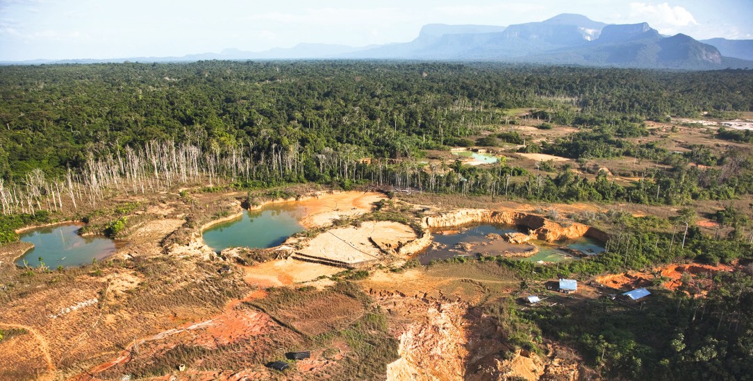 Die Spur des Goldes: Wo sich einst Baum an Baum reihte, herrscht heute Zerstörung. (Foto: PA / WILDLIFE / M.Harvey) Die Spur des Goldes: Wo sich einst Baum an Baum reihte, herrscht heute Zerstörung. (Foto: PA / WILDLIFE / M.Harvey)