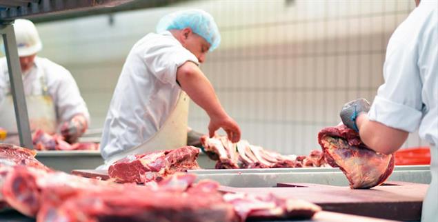 Arbeiter in der Fleischindustrie: Akkord-Arbeit unter extremen Temperaturbedingungen (Foto: Alamy Stock Foto)
