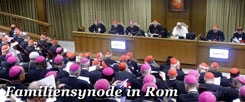 Rom im Oktober 2014: Papst Franziskus debattiert mit seinen Bischöfen über Liebe, Ehe und Sex. Kann das gutgehen? Und wohin wird es führen? Etwa  zu einer neuen Lehre der römischen Kirche? (Foto: pa/dpa/Fabio Frustaci)
