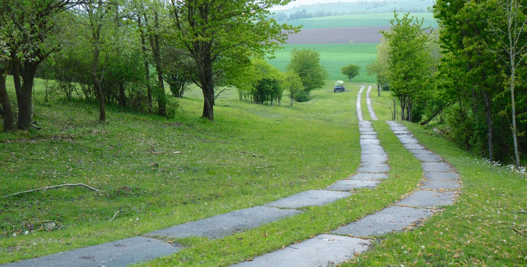 Über den Beton in die Freiheit: Kolonnenweg an der ehemaligen deutsch-deutschen Grenze. (Foto: Magirius)