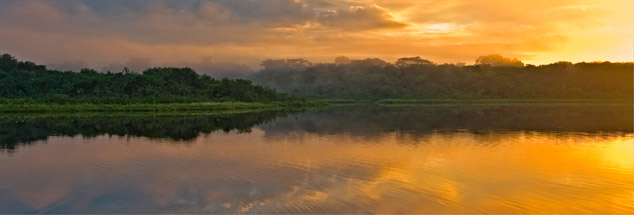 Der Yasuní-Nationalpark ist einer der artenreichsten Regenwälder der Welt. (Foto: pa)