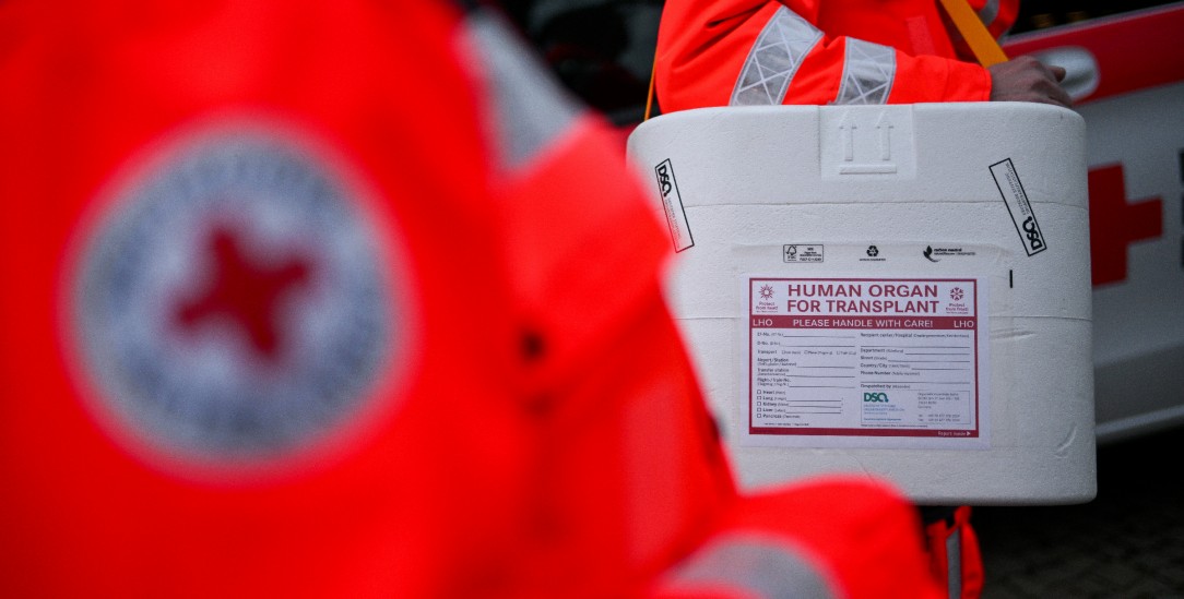 Lebensrettend: Ein Organ auf dem Weg zur Transplantation. (Foto: PA/DPA/Sebastian Gollnow)