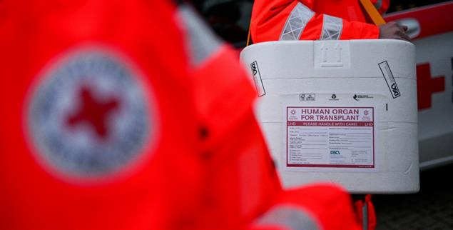 Lebensrettend: Ein Organ auf dem Weg zur Transplantation. (Foto: PA/DPA/Sebastian Gollnow)