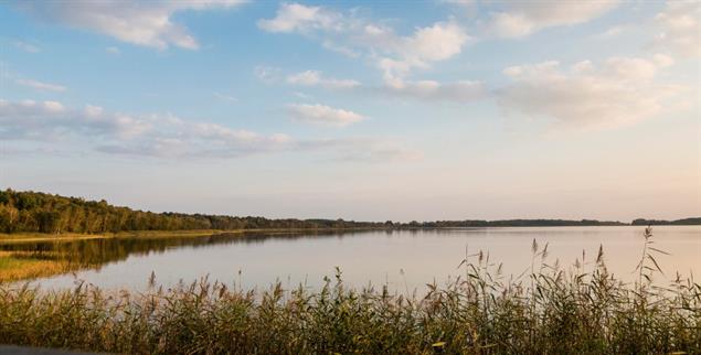 (Foto: PA / blickwinkel / A.Held)
