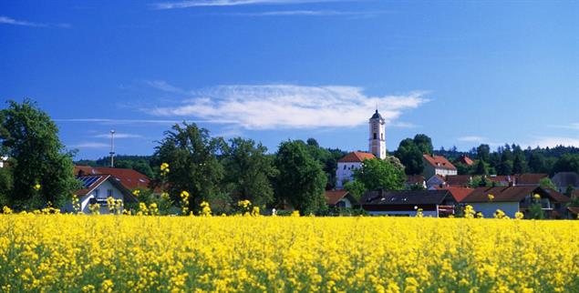 Kirchenland: Viele Pfarreien, hier die Kirche in Bad Birnbach, verpachten Wiesen und Felder an Bauern (Foto:pa/Kreder)