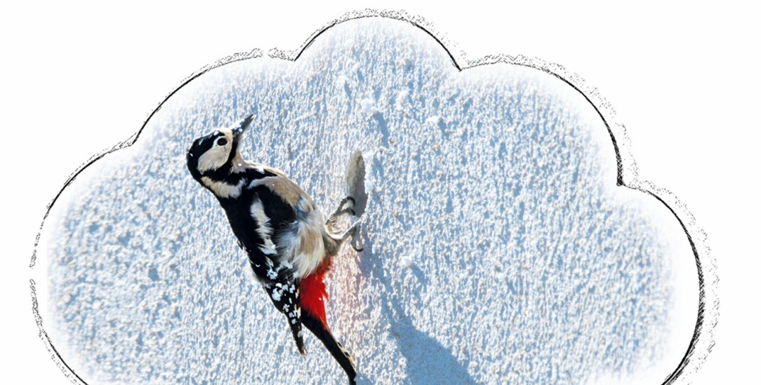 (Illustration: Schneider; Foto: pa/Soeren Stache/dpa/dpa-tmn)