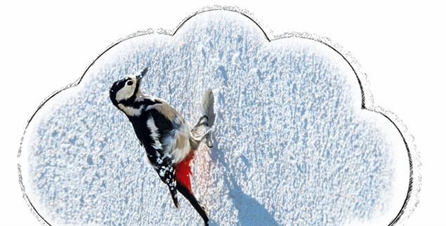 (Illustration: Schneider; Foto: pa/Soeren Stache/dpa/dpa-tmn)