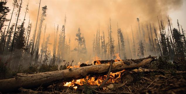 Die Wälder brennen, die Welt in der Klimakrise steht in Flammen: Das weckt starke Gefühle wie Wut, aber auch Angst, Trauer, Ohnmacht, Schuld und Scham. (Foto: PA/AP Images/Darryl Dyck)