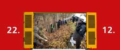 Der Widerstand gegen die Rodung im Hambacher Forst, vor Gericht und im Wald, hat vorläufig Erfolg: RWE will bis zum Jahresende auf die weitere Abholzung verzichten. Über Weihnachten herrscht Frieden. (Foto: pa/Becker)