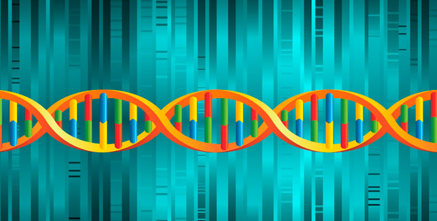 Gene als Bausteine: Bioingenieure träumen davon, ganz neue Zellsysteme zu entwickeln. (Foto: istockphoto.com/mstay)