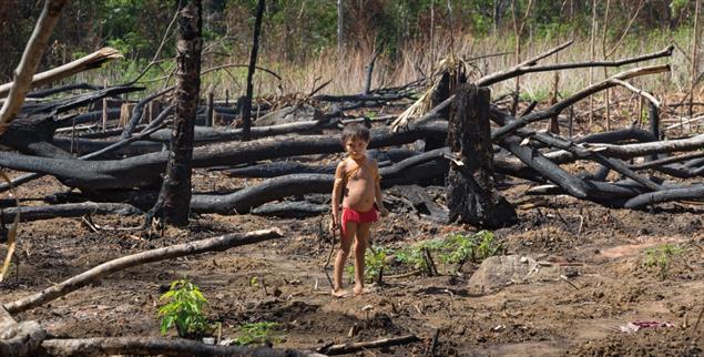 Für Indigene bleibt kein Platz mehr: Brandrodung in der Nähe eines Yanonami Dorfes (Foto: Jürgen Escher/© Adveniat)