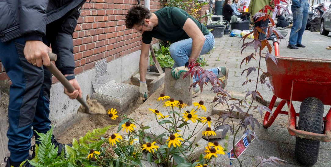 Pflanzen statt Pflastersteine: In den Niederlagen wird um die Wette entsiegelt. (Foto: Martin Egbert)