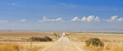 Unterwegs sein. Den Boden unter den Füßen spüren. Menschen begegnen. Sich verwandeln lassen vom Weg. Erfahrungen als Pilger. (Foto: pa/blickwinkel/M. Vahlsing)