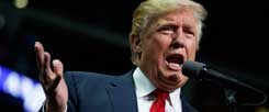 Donald Trump als Populist: So erfolgreich, wie kein seriöses Meinungsforschungsinstitut es voraussagte. (Foto: pa/ap/Vucci)