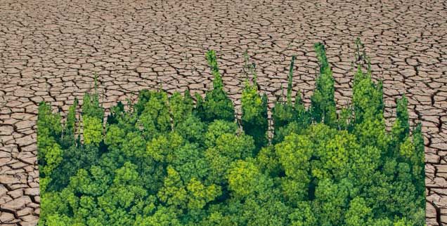 Hitze, Dürre, Krisen-Klima: Wann ändern wir das, was wir ändern müssen? (Fotos: istock by Getty/fotoVoyager; happy8790)