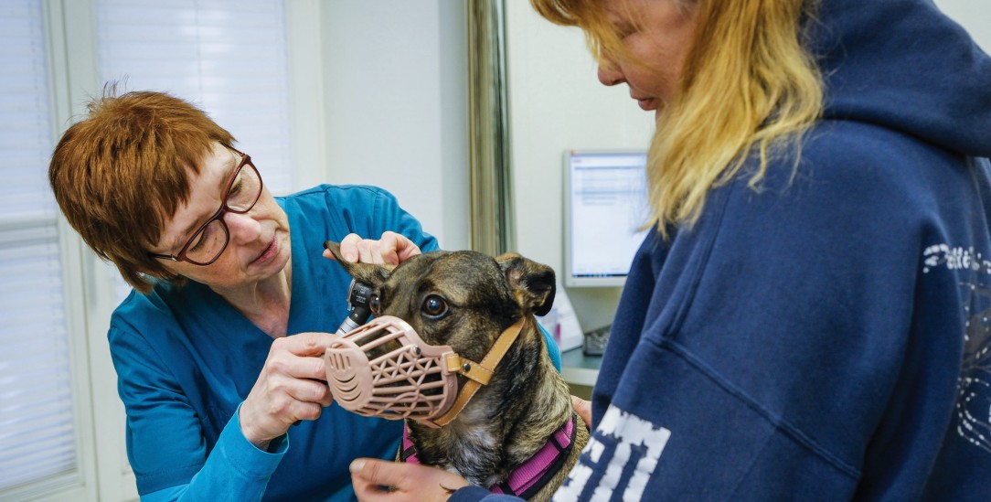 Mancher Hund braucht eine Wurmkur, der andere hat sich verletzt: Tierärztin Sabine Zimmermann-Kuhn hilft ehrenamtlich Tieren von Bedürftigen. (Foto: Jens Schulze)