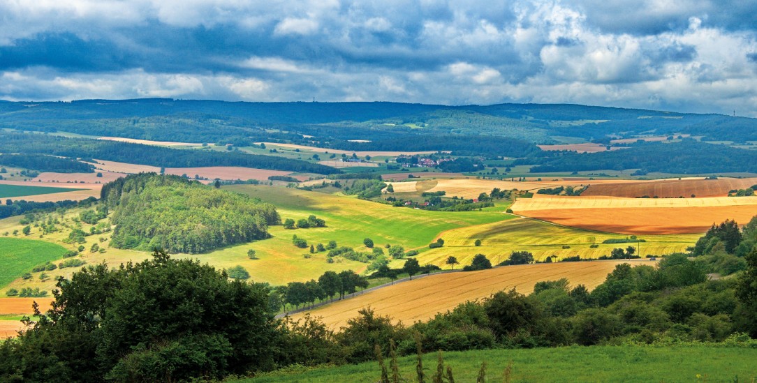 (Foto: pa/imagebroker/Markus Beck)