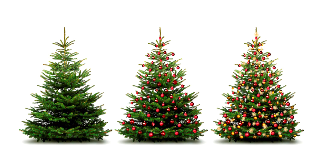Viele spenden dem Ahrtal Weihnachtsbäume (Foto: Getty Images/iStockphoto)