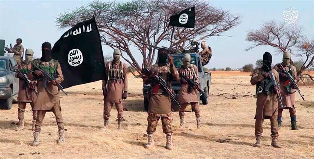 Mitglieder des sogenannten Islamischen Staates posieren für ein Propaganda-Foto nach einem Anschlag im Januar in Niger (Foto: Screenshot)