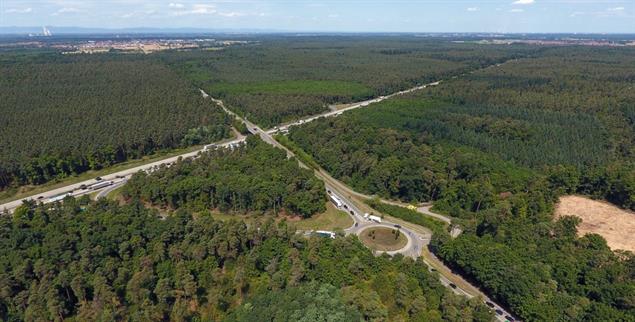 Windpark im Wald: Entlang der Autobahn A5 in Höhe von Kronau sollen zehn Windräder gebaut werden (Foto: PA/DPA/Rene Priebe)