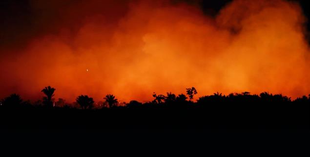 Verheerende Waldbrände am Amazonas (Foto: pa/Reuters/Ueslei Marcelino)