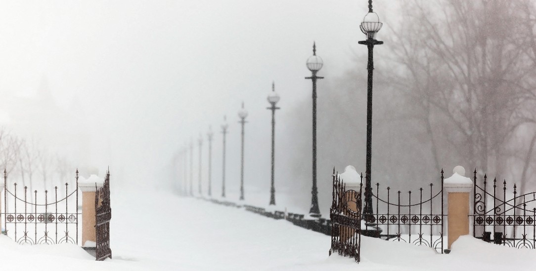 Hören auf die Stille: Die Schriftstellerin Iris Wolff über die Welt jenseits des Lärms. (Foto: Alamy Stock Photo/ Oleg Upalyuk)