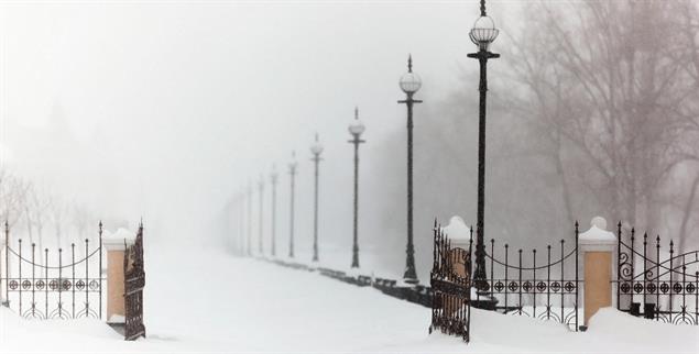 Hören auf die Stille: Die Schriftstellerin Iris Wolff über die Welt jenseits des Lärms. (Foto: Alamy Stock Photo/ Oleg Upalyuk)