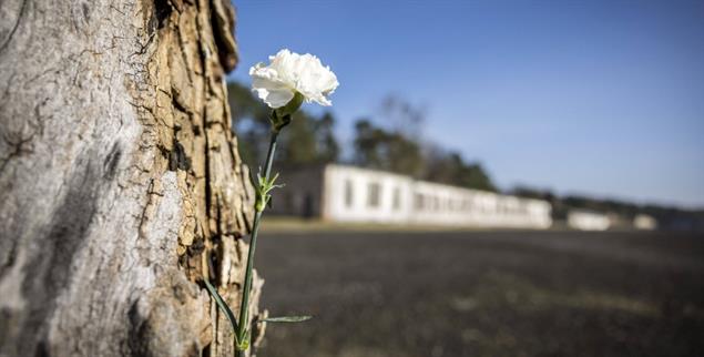 (Foto: IMAGO/Photothek/Thomas Koehler)