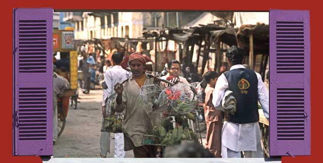 Ein Vogelhändler geht mit seinen Käfigen durch das Gewühle einer Straße in Karachi.(Foto: Jonathan Stutz/Fotolia.com, mod.; pa/Mummendey)

