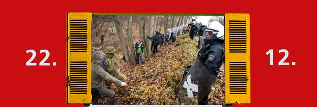 Der Widerstand gegen die Rodung im Hambacher Forst, vor Gericht und im Wald, hat vorläufig Erfolg: RWE will bis zum Jahresende auf die weitere Abholzung verzichten. Über Weihnachten herrscht Frieden. (Foto: pa/Becker)