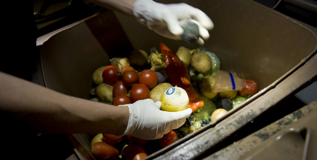 Noch gut? Vieles, was in Supermärkten weggeworfen wird, kann noch verzehrt werden. Doch Zitronen oder Tomaten aus deren Mülltonnen zu nehmen, gilt als Diebstahl (Foto: pa/Prohaska)